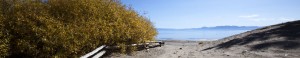 pageimage27