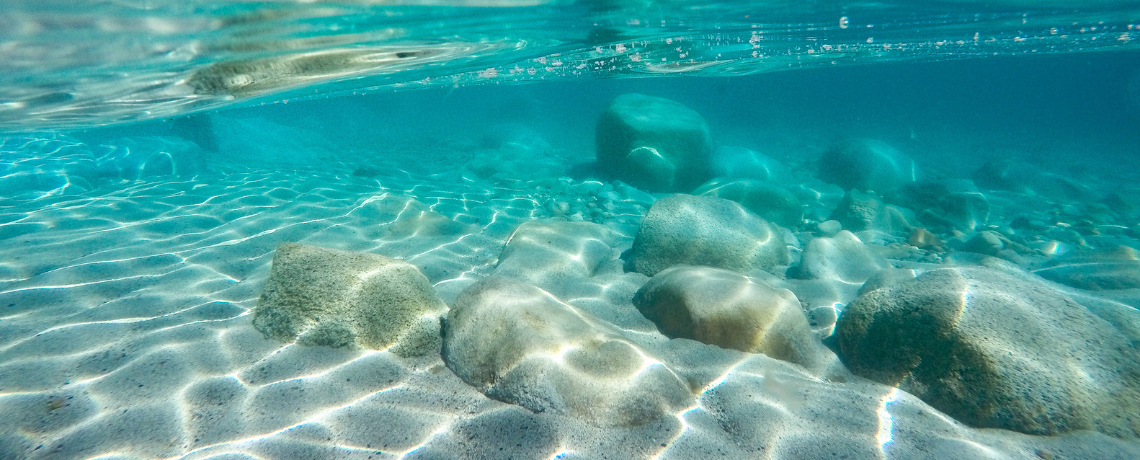 First-Ever Livestream Journey to the Bottom of Lake Tahoe