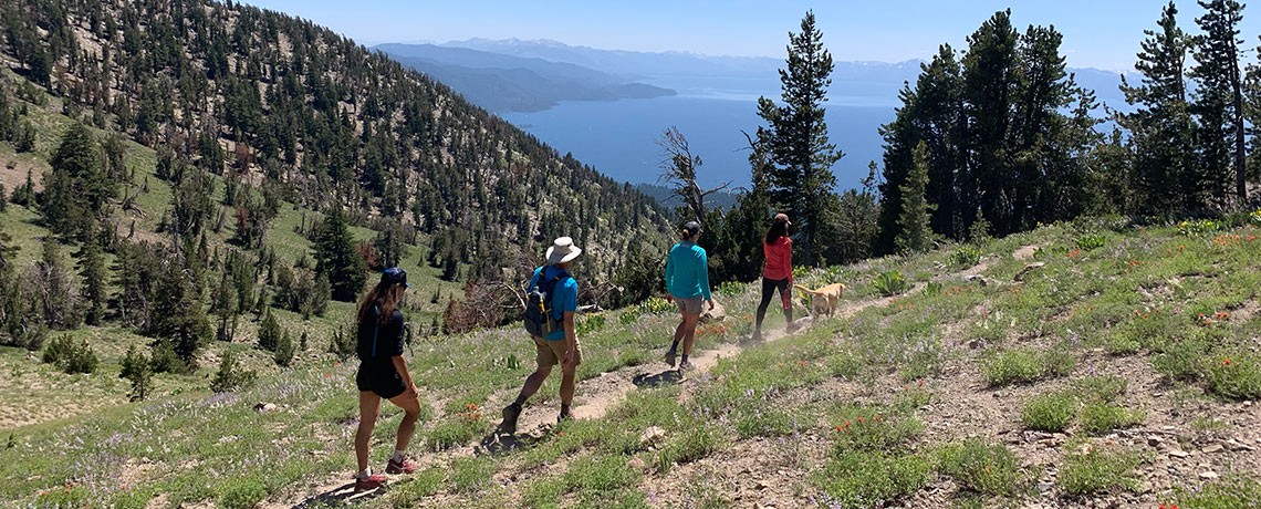 Tahoe Trails Endowment