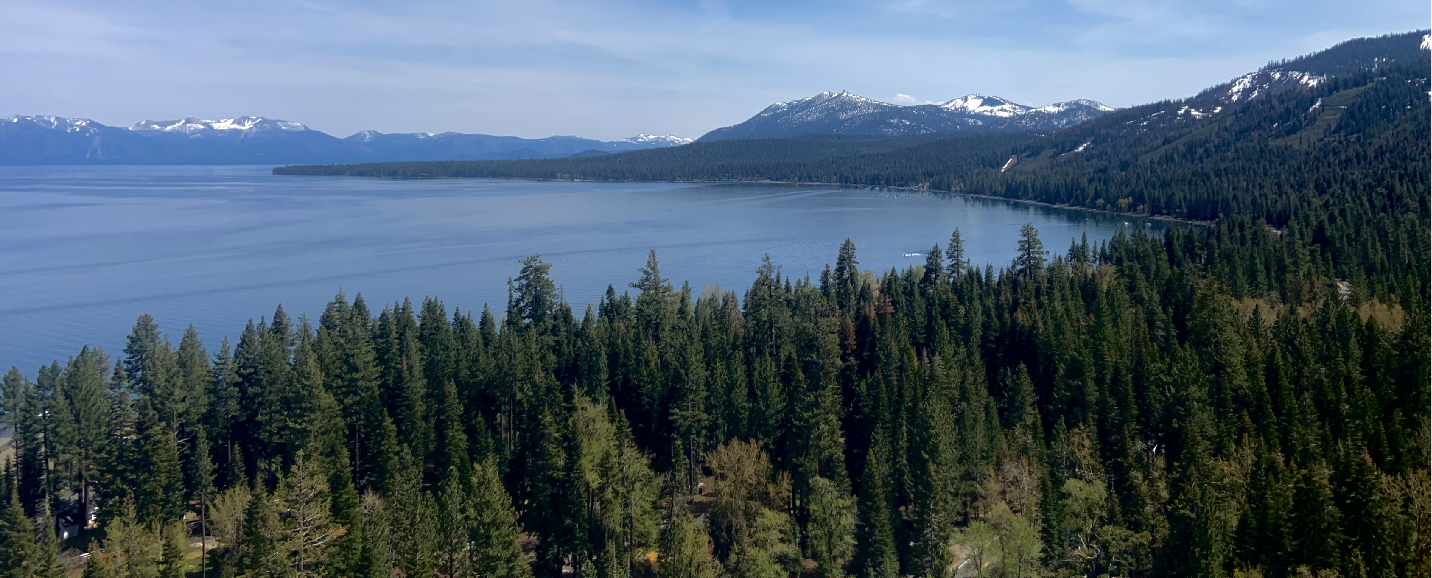 Land Tender Maps Tahoe's Forests to Improve Forest Health