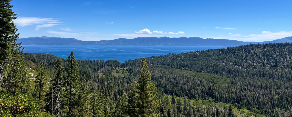 Moore Foundation Support for Wildfire Resilence Work in Tahoe