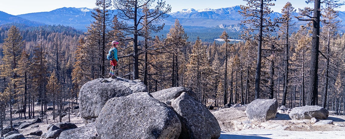 Tahoe-Fund-Caldor-Trails-Restoration