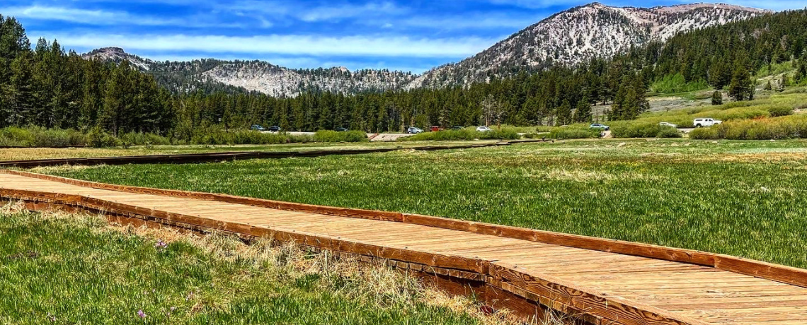 Tahoe Meadows Ramp Construction Underway