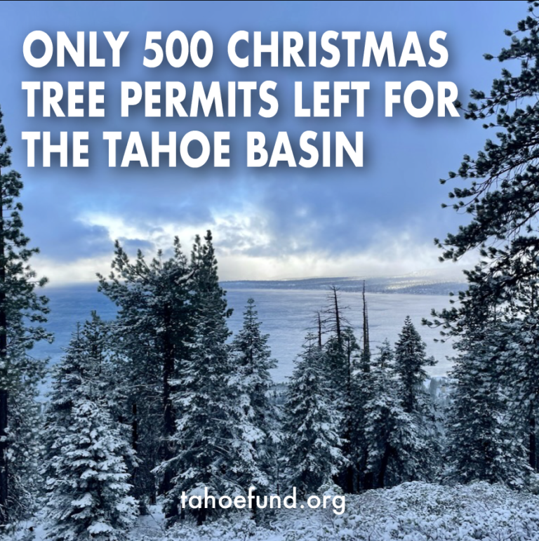 Christmas Tree Permits for Tahoe Tahoe Fund