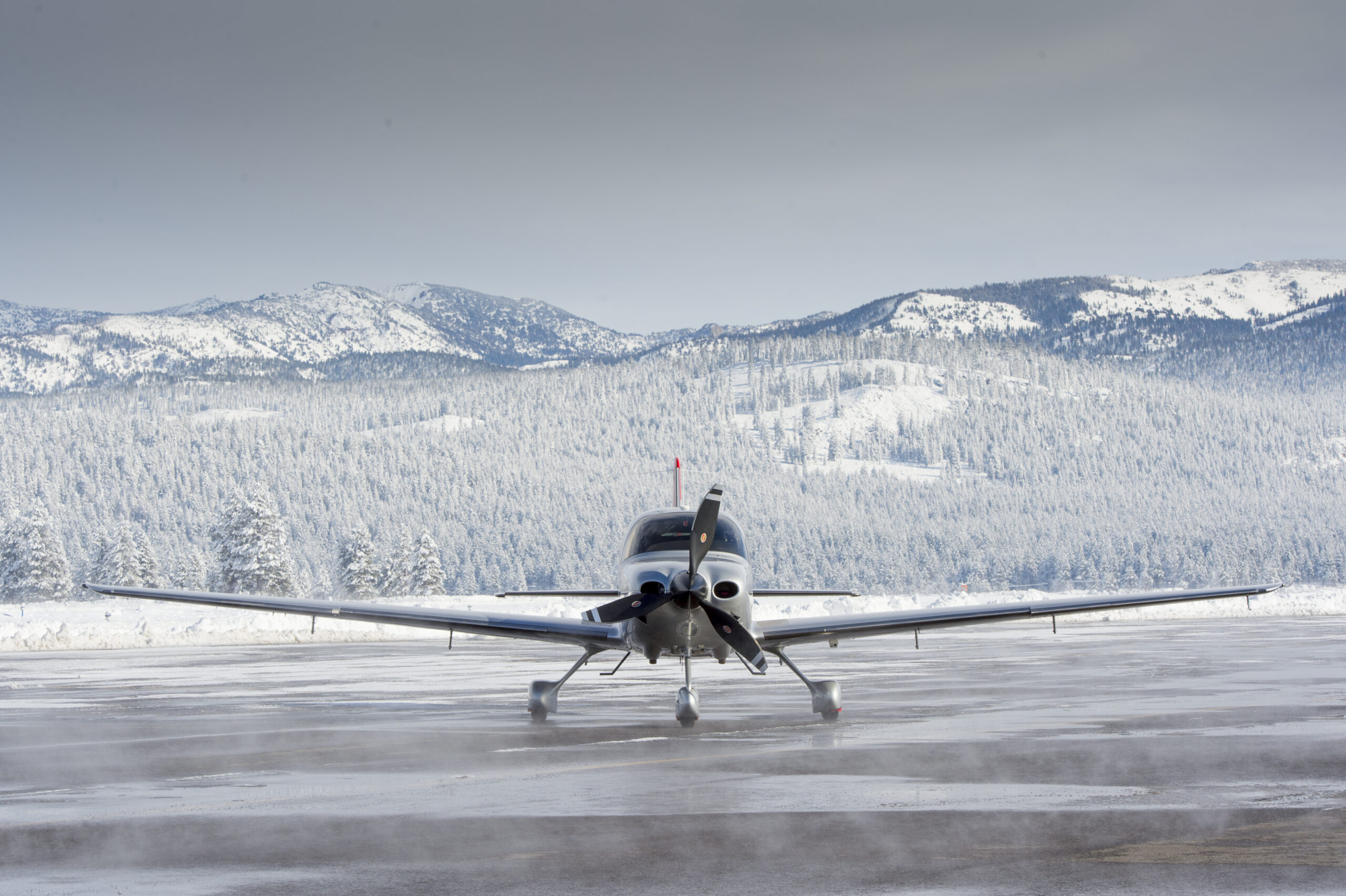 mountainlionwinter Tahoe Fund